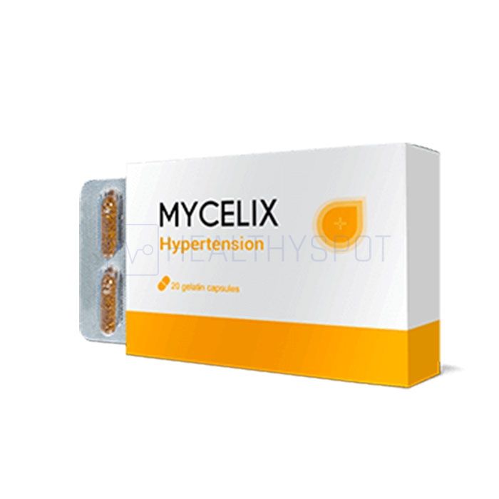 ⧉ Mycelix - remède contre l`hypertension